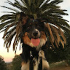 Meet your Posher, Todd